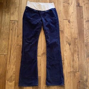 GAP Maternity 1969 Sexy Boot Cut Corduroy Pants 6L